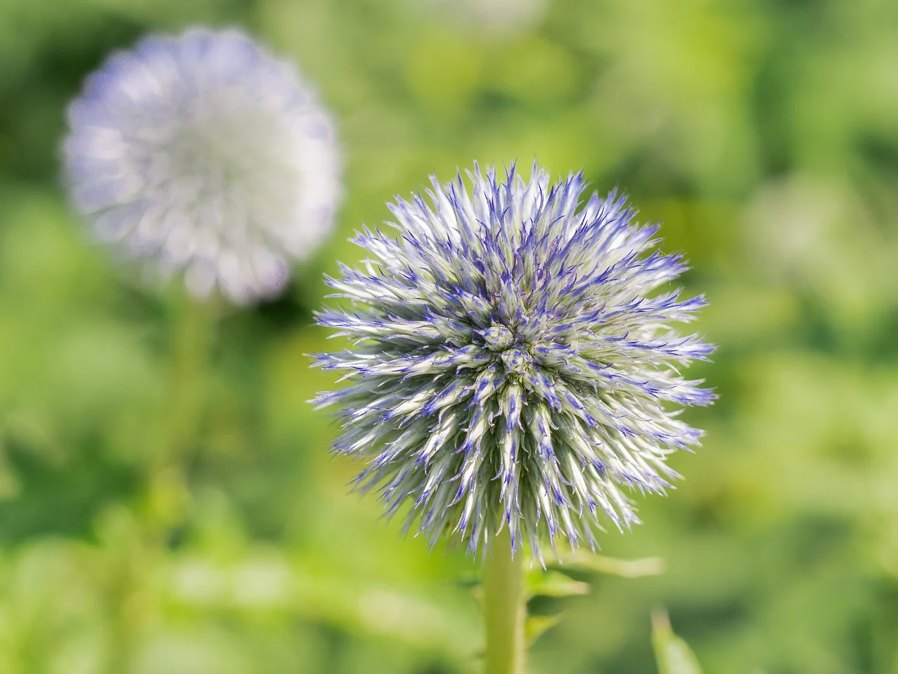 芯五行，探索未来科技的核心力量，芯五行