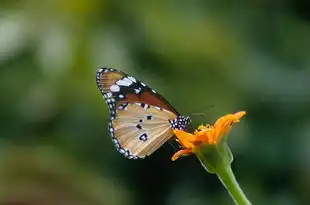 星座博弈，揭秘能把天蝎玩死的星座，能把天蝎玩死的星座