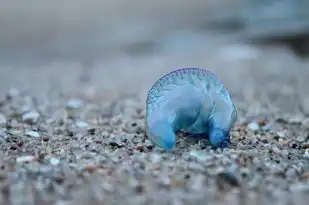 被水瓶座气死的瞬间，图片中的情感解读，被水瓶座气死图片