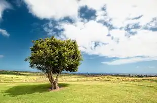 摩羯座男生与白羊座女生，性格互补，火花四溢的恋爱组合？摩羯座男生和白羊座女生配吗