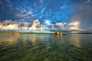 风水五行龙，探寻古老智慧中的神秘力量，风水五行龙