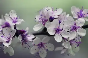 梦见雷雨交加电闪雷鸣，夜的交响曲与内心的启示，梦见雷雨交加电闪雷鸣