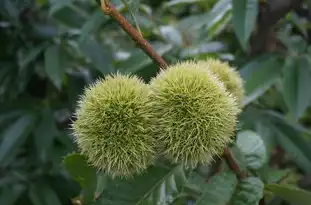 梦境中的尴尬遭遇，梦见屎拉裤子上，梦见屎拉裤子上