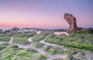 天蝎座之夜，探寻神秘星空的观星指南，在哪看最佳？天蝎座之夜在哪看