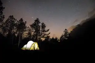 天蝎座之夜3，免费完整版，探索黑暗中的爱与救赎，天蝎座之夜3免费完整版