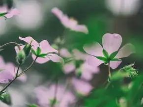 双子座的独特魅力与生日解读，双子是什么星座的生日