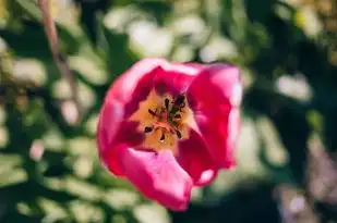 巨蟹座女生的性格特点深度解析，巨蟹座女生的性格特点是什么