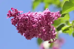 郭晶晶五行分析，跃动水花的背后之奥秘，郭晶晶五行