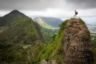 山豆名字五行，探索自然的神秘联系，山豆名字五行