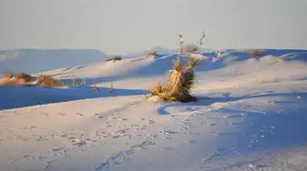 射手座今日财运方位查询，揭秘星象背后的财富秘密，射手座今日财运方位查询