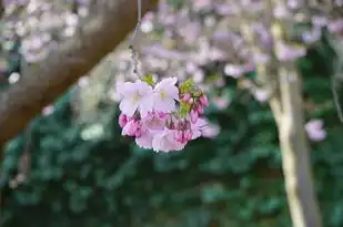 射手座今日运势女，幸运与挑战共存，把握机遇助运无限，射手座今日运势女