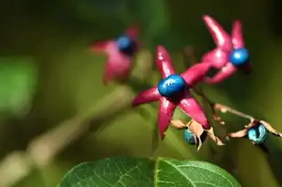 白羊座属于什么星象，揭秘白羊座的独特魅力与星象特点，白羊座属于什么星象