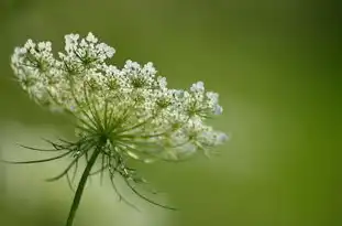 水瓶座情动之谜，揭秘最能让水瓶座心动的星座，最能让水瓶座动心的星座