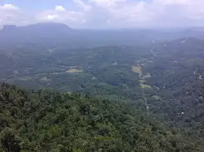 周公解梦，揭秘梦境中的青山之谜，周公解梦  青山