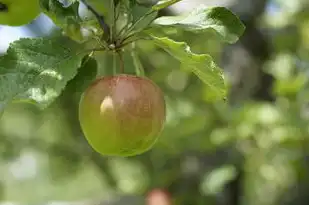 果树被砍之梦，梦境中的象征与内心的启示，梦见果树被砍了