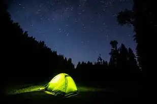 天蝎座之夜1无删减版在线观看，揭秘神秘夜晚的激情与悬疑，天蝎座之夜1无删减版在线观看