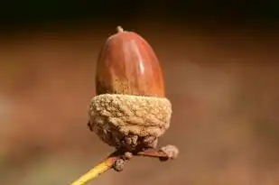 属牛人遇猴年运势解析，机遇与挑战并存，财运事业两旺，属牛人遇猴年运势如何