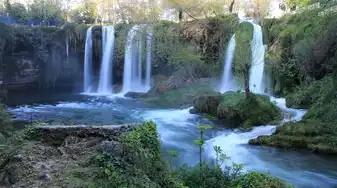 梦见九尾狐，穿越千年的神秘符号，梦见九尾狐