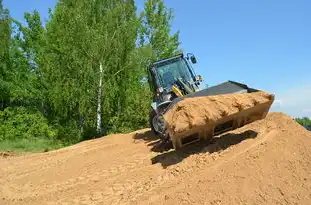 洛克王国金牛推荐，揭秘金牛性格的最佳宠物选择，洛克王国金牛推荐性格