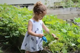 五行缺木的女孩，如何选择寓意美好的名字？女孩五行缺木的名字