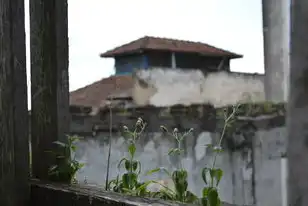 梦见下大雨房屋漏水，一种神秘的暗喻与情感共鸣，梦见下大雨房屋漏水