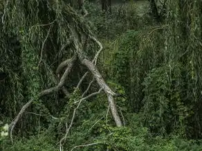 梦回松林，种下希望之树——解密梦境中的松树种植之旅，梦见种松树