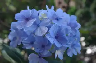 天蝎座性格特点，神秘深沉，坚定执着，天蝎座性格特点