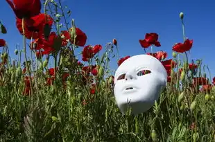 摩羯座男生，稳重内敛的守护者，摩羯座男生特点和性格特点