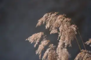 水瓶座近日运气情况，水瓶座近日运气情况