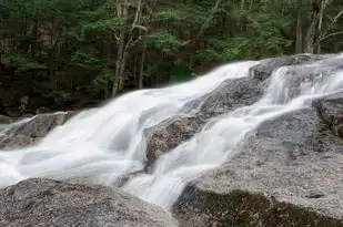 梦见大黑鱼在水里游，一场深层的内心探索，梦见大黑鱼在水里游