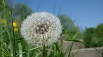 梦见贵人相助，一种深邃而神秘的心灵启示，梦见贵人相助