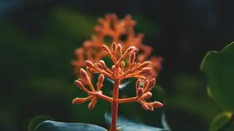 属马阴历6月运势详解，运势起伏，把握机遇，属马阴历6月运势