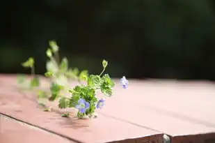 水瓶座，友情与爱情的独特交织，水瓶座对朋友和对喜欢的人