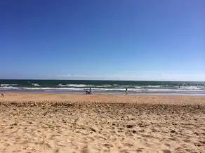 梦中的大海与飞翔的海鸥——一次奇妙的梦境之旅，梦见大海和海鸥