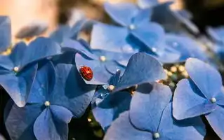 2月18日出生的水瓶座，独特魅力与智慧光芒，2月18日的水瓶座性格