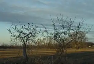 梦境中的高空掉落，揭秘心理暗示与潜意识的无形影响，梦见高空掉东西