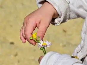 属鼠的白羊座女生，活泼灵动，独具魅力，属鼠的白羊座女生性格特点