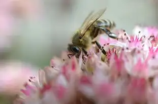 水瓶座性格特点总结，水瓶座性格特点总结