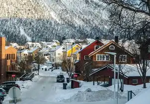 梦见积雪，一场关于记忆与情感的奇幻之旅，梦见积雪