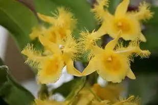 摩羯白羊星座配对，碰撞火花还是和谐交响？摩羯白羊星座配对