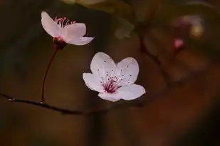 巨蟹座性格与天蝎性格，哪个更胜一筹？巨蟹座性格好,还是天蝎性格好