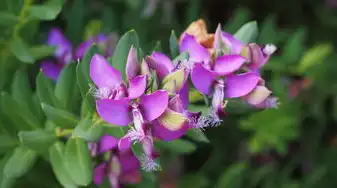 水瓶属猴男的超准性格分析，水瓶属猴男性格超准分析