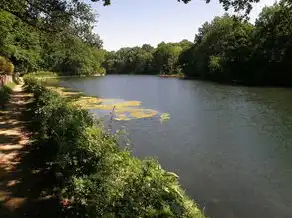 梦见大河流水，探寻梦境中的无尽奥秘与深邃寓意，梦见大河流水