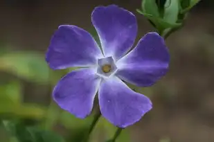 天蝎座男生性格特点，神秘而深邃的独特魅力，11月4日天蝎座男生性格特点