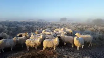 属马2019年运势及运程每月运程——金马踏春，事业运势上扬，财运亨通，健康如意！，属马2019年运势及运程每月运程