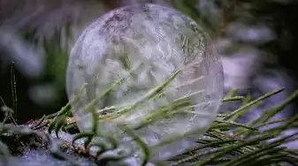 巨蟹座的生日，探寻星象下的温情庇护，巨蟹生日几号到几号