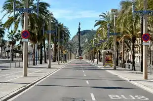 梦见洪水冲毁道路，灾难中的启示与自我救赎，梦见洪水冲毁道路