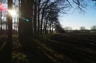 水瓶属猴男性格超准分析，揭秘独特魅力与性格特质，水瓶属猴男性格超准分析