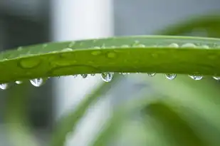 雨属五行，解读雨水与五行相生的哲学内涵，雨属五行