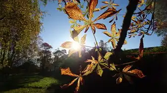 揭秘未来一周，占星运势指引你的生活方向，占星运势